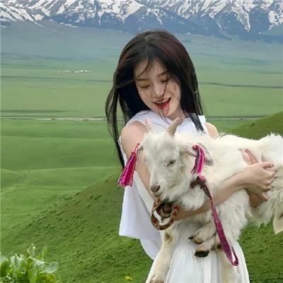亲爱的总统夫人
